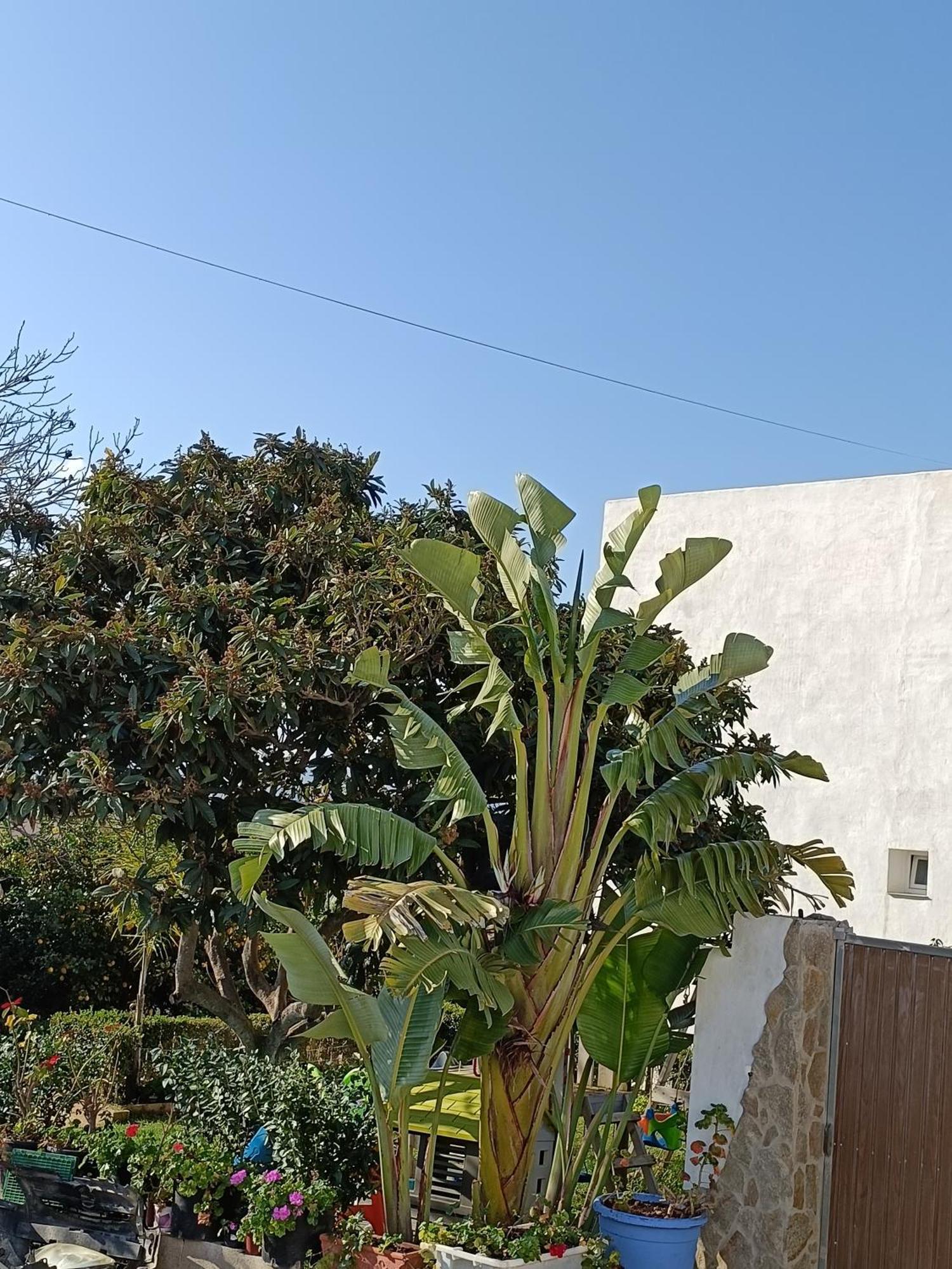 Pueblos blancos Vejer de la Frontera Exterior foto